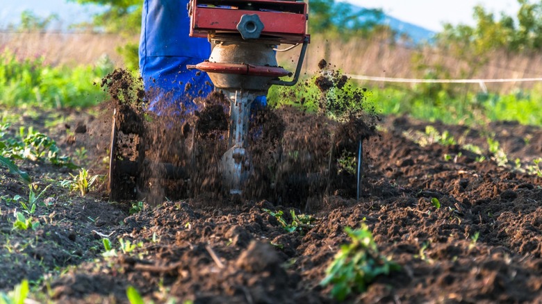 tilling the soil