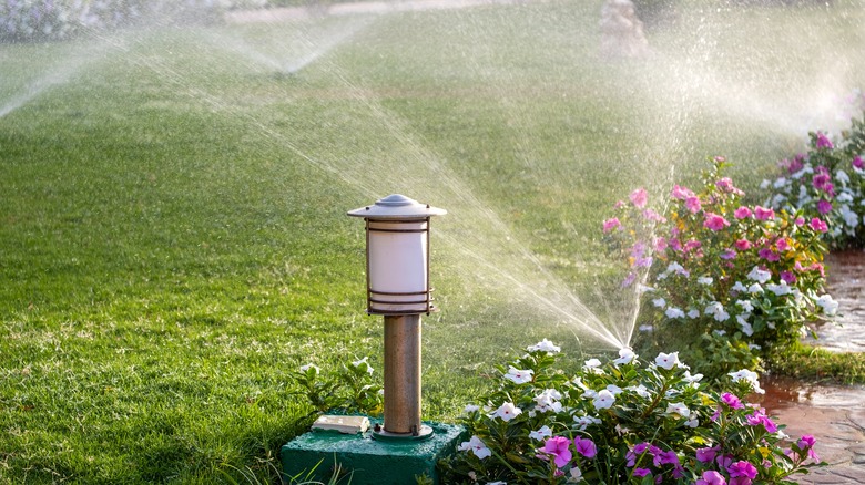 lawn with automatic sprinklers