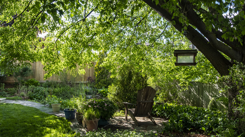 backyard shaded by trees