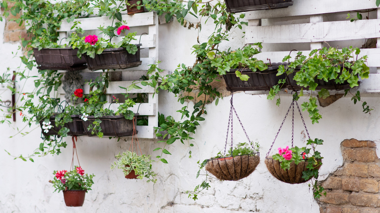 A Vertical Garden Is The Key To Bringing In More Hummingbirds