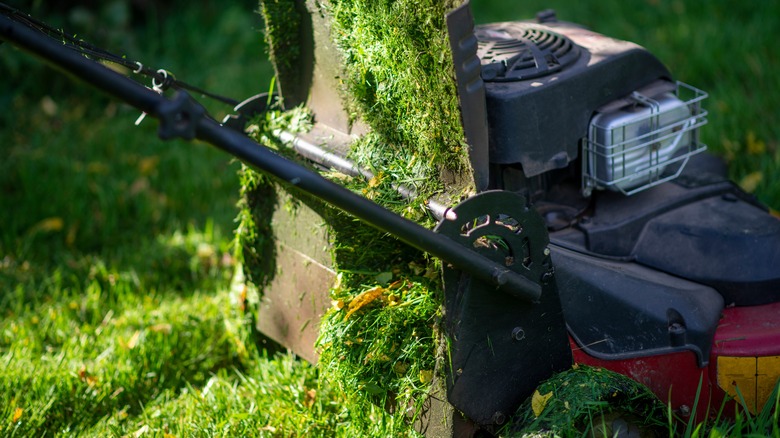 Lawn mower with wet grass