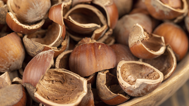 hazelnut shells in bowl