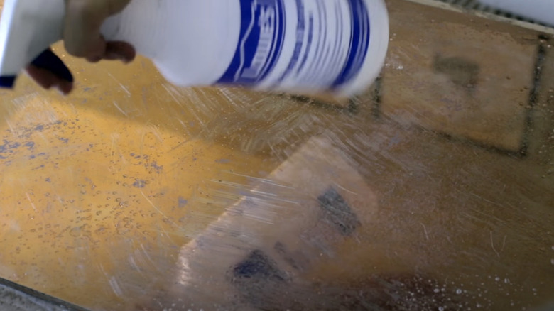 Adding bleach spray to mirror backing