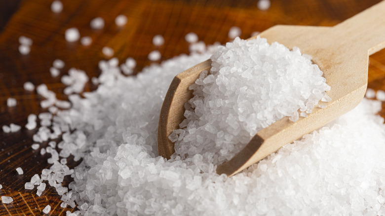 wooden scoop of salt