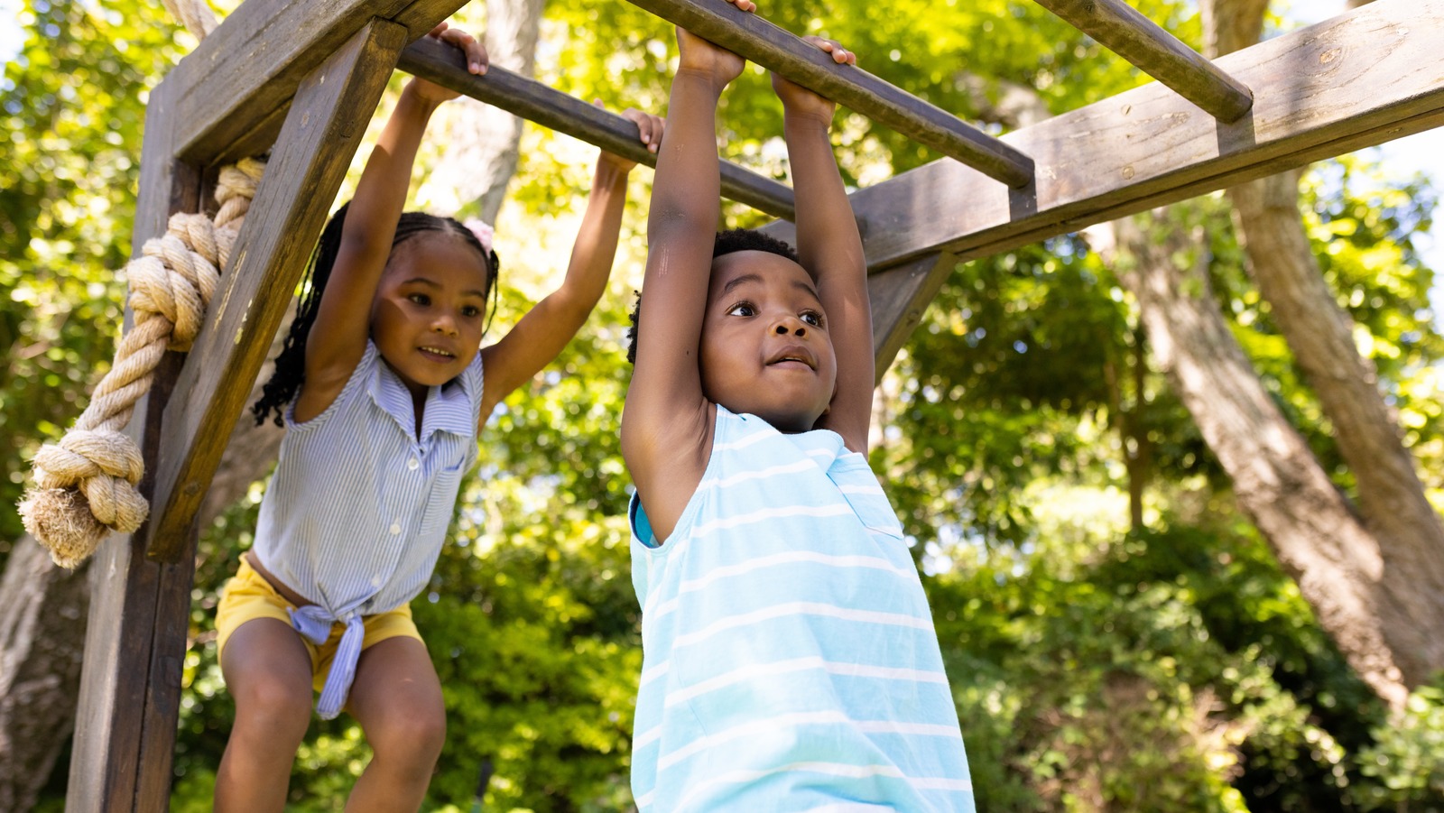 Add Adventure To Your Backyard With These DIY Monkey Bar Ideas