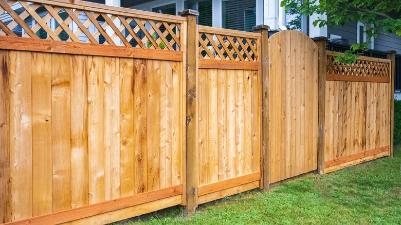 wood backyard fence