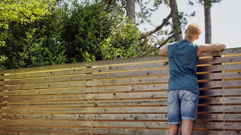 A man looking over a low fence.