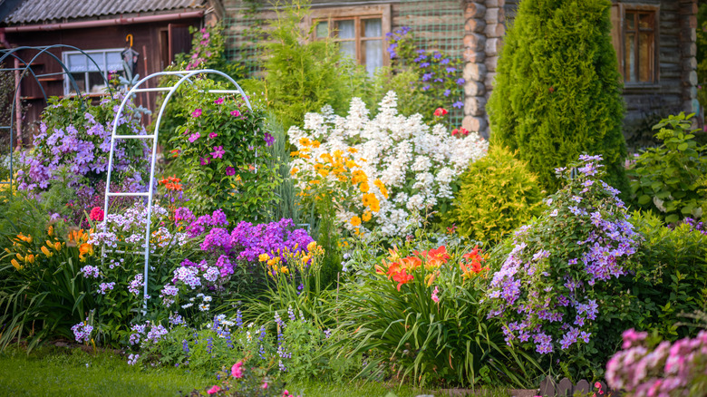 A gorgeous cottage garden with lots of tall flowers to add privacy in front of the windows