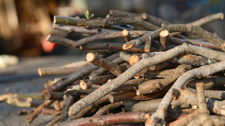 pile of sticks