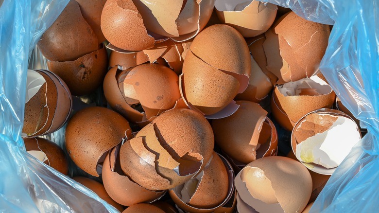 bag filled with broken eggshells