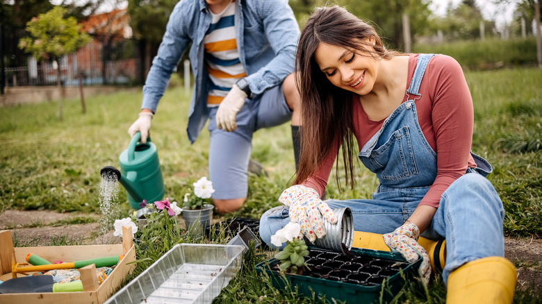 couple working in garden