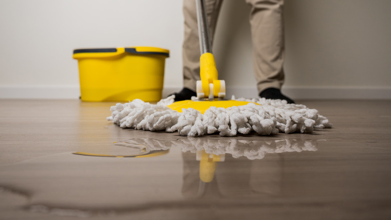Add This Ingredient To Your Mop Water To Help Keep Pests Out Of The House