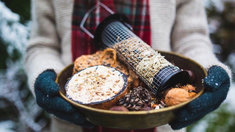 person holding bird food