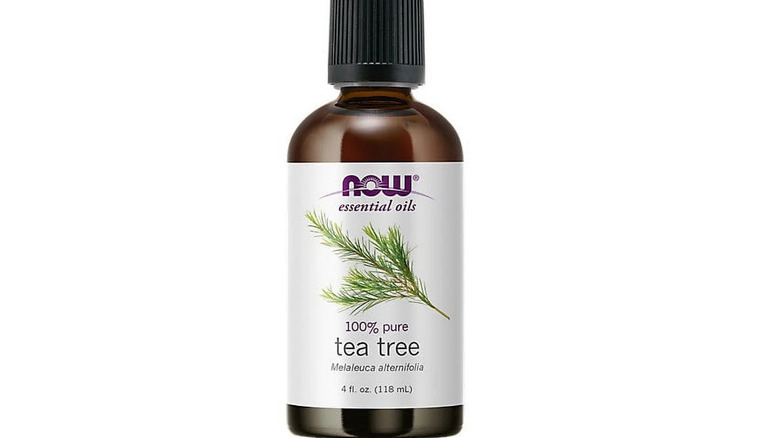 Bottle of tea tree oil