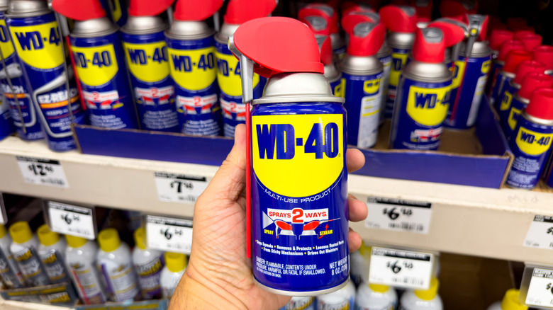 Person holding bottle of WD-40 in store next to shelf