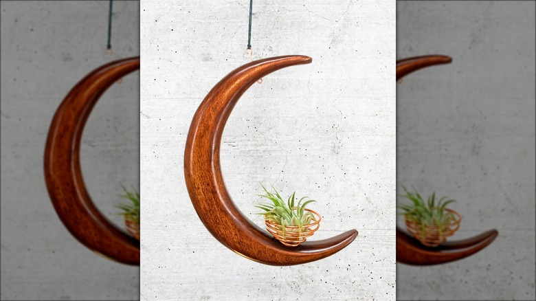 hanging moon air plant holder