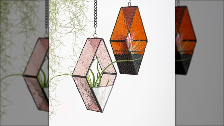 stained glass air plant holders