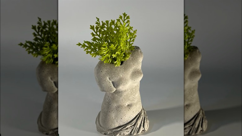 venus statue with air plant