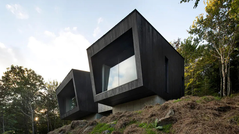 The Binocular cabin black box house