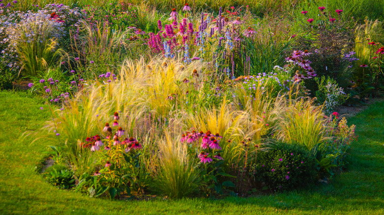 Ornamental garden, with grasses and various perennial flowers in mixed borders and flower beds.