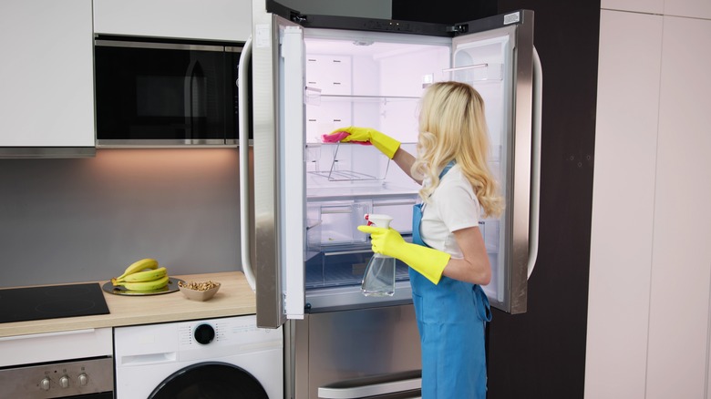Woman spraying the refrigerator to clean it