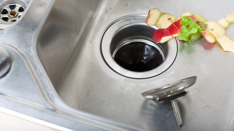 Garbage disposal with food waste