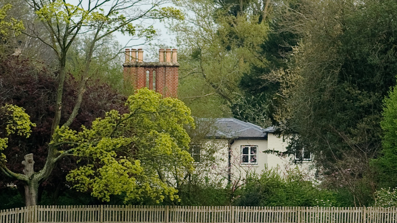 Frogmore Cottage behind bushes 