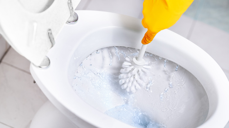 Person scrubbing toilet with toilet brush