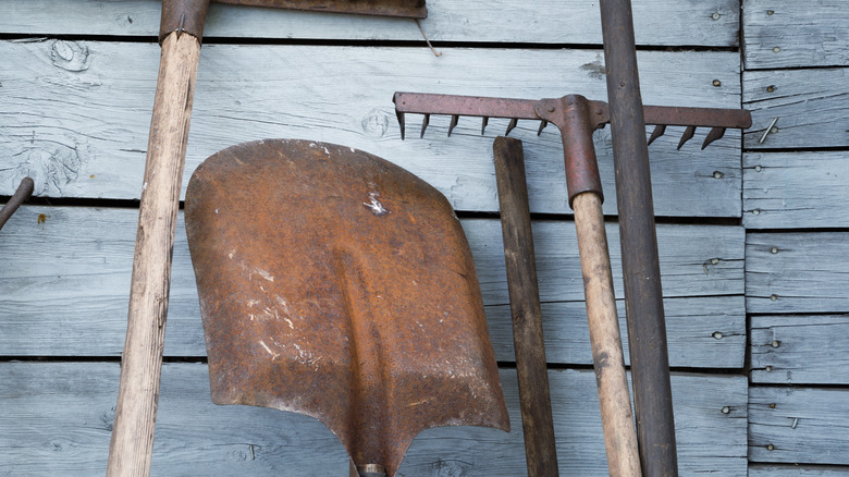 rusty garden tools against shed