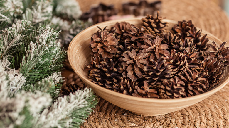 pinecones in a bowl