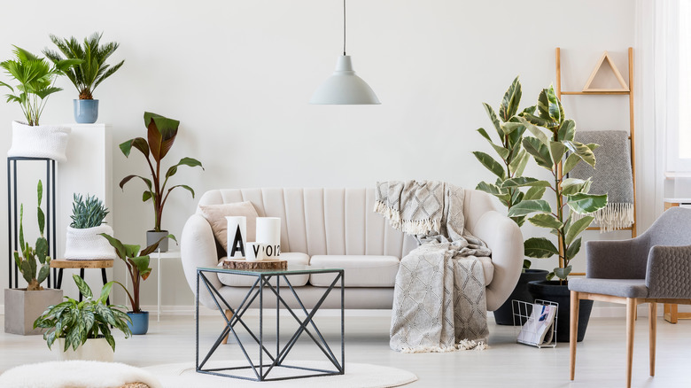 blanket ladder styled with tall plant in living room