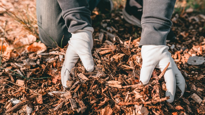 Gloved hands laying mulch