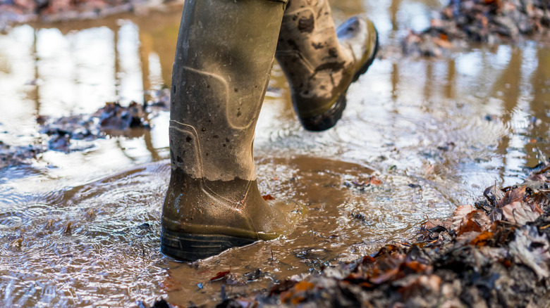 Boots walking through wet mulch