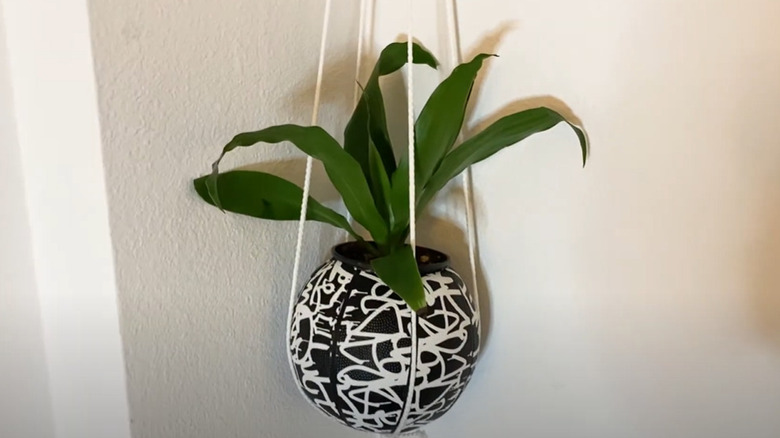 hanging basketball planter