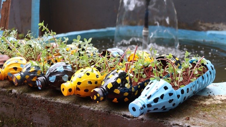 Plastic water bottle planter