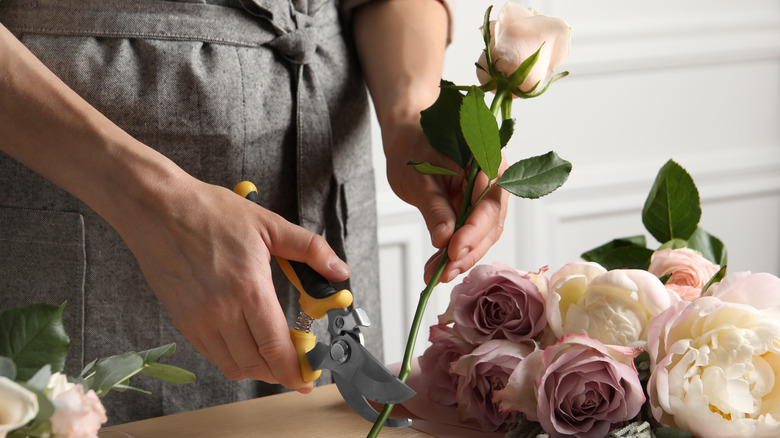 Person cutting flower