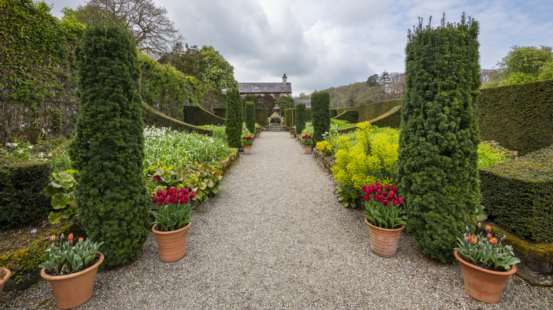 gravel path leading to house