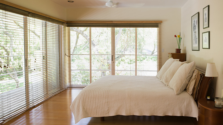 bedroom window blinds