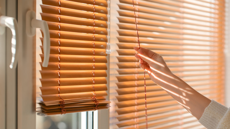 sunny window with blinds