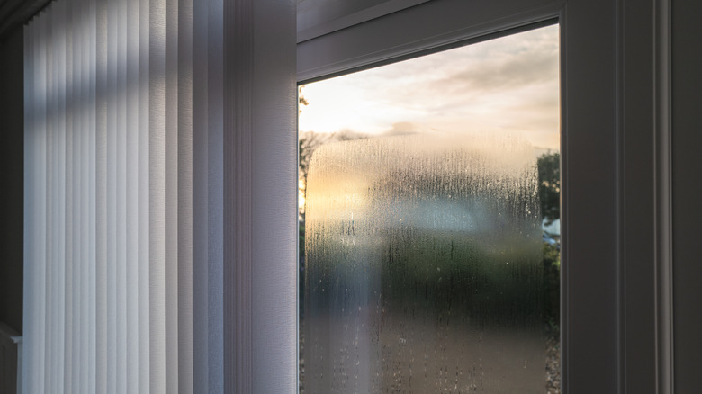 window with vertical blinds