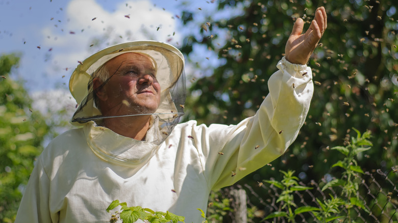 Person with beekeeper protective gear