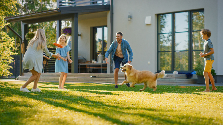 Family playing in backyard