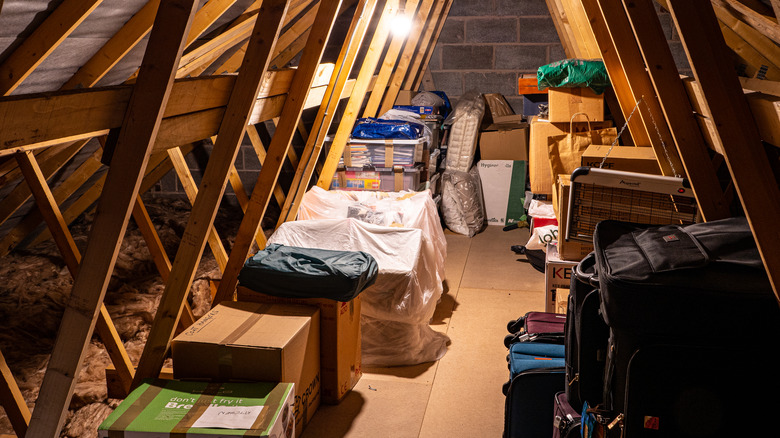 Attic with dry storage area