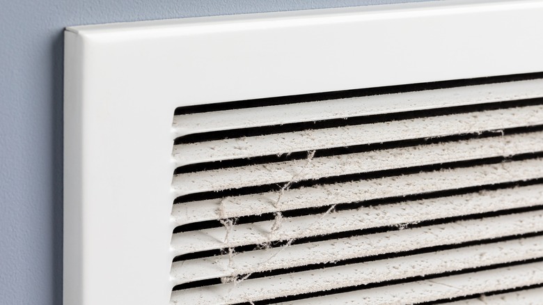 Dust and pet dander on vent