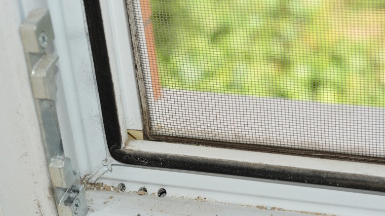 Dirt around window tracks 