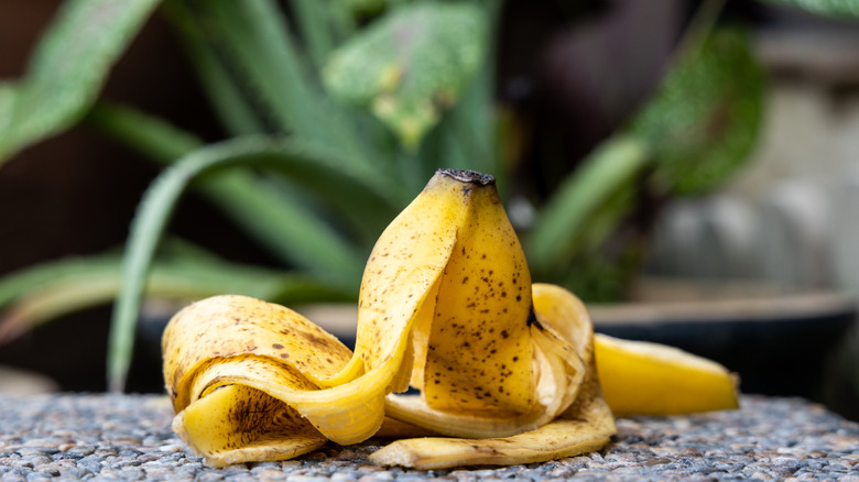 a banana peel on a rock surface