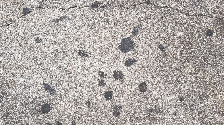 Gum on sidewalks