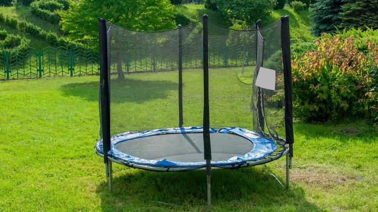 trampoline in garden