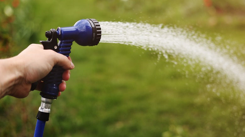 spraying a water hose