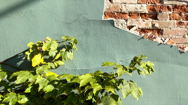 Wall with damaged stucco on it